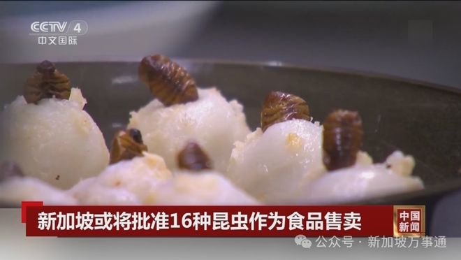 7月起新加坡这22件大事要关注：事关PR、留学陪读、薪资花红…(图25)