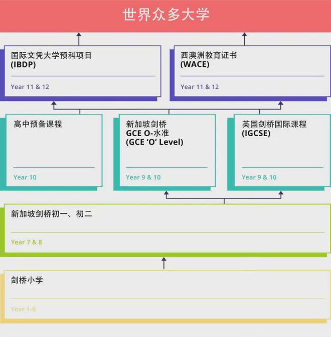 2024年中考后新加坡留学必读宝典！(图4)