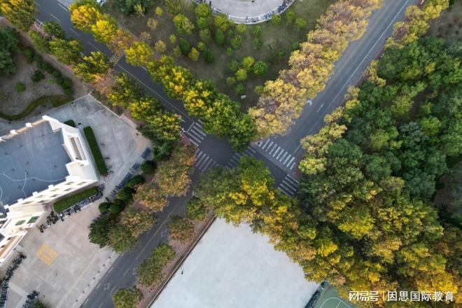 2024江苏国际本科1+3盘点专破逆风局高考后留学优势凸显！(图3)