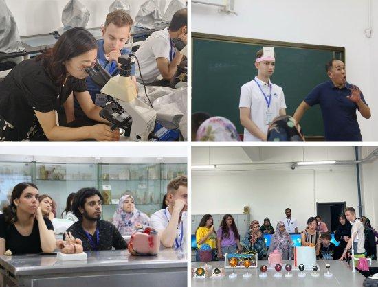 吉林大学2024“留学中国—吉林大学国际暑期学校”项目圆满落幕(图2)