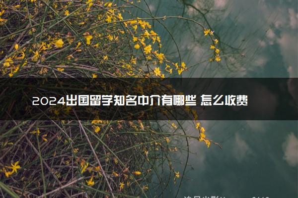 2024出国留学知名中介有哪些怎么收费