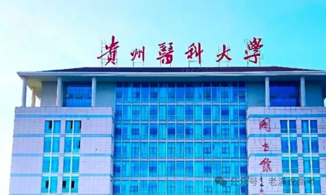 贵州医科大学就业、深造情况：2023-2024学年本科教学质量报告