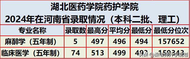 湖北医药学院药护学院2024年在河南省分专业录取分数