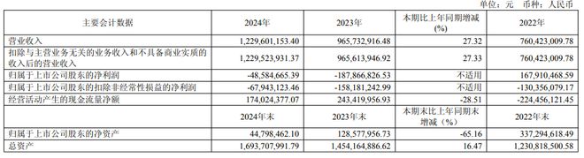 昂立教育2024年营收123亿元同比增长2732%(图1)