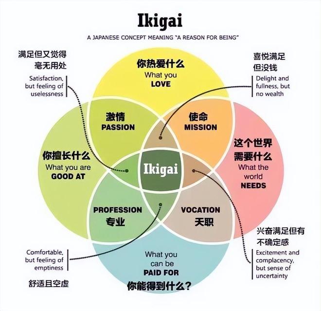 就业难、前途迷茫？这个学者项目帮助大学生找到自己的IKIGAI