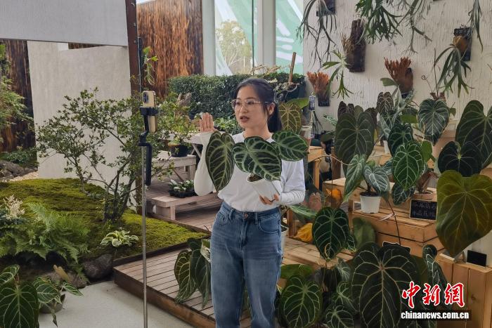 浙江省农创客超10万名呈现三方面群体特征